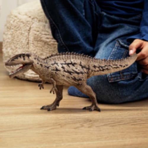�V�����C�q ���� �J���J���h���g�T�E���X�{�~�j����_4