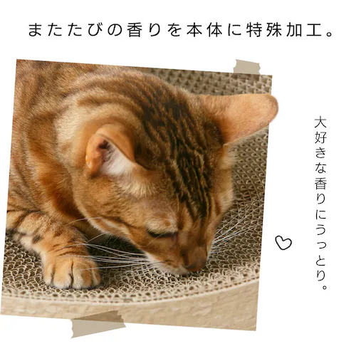 猫のつめとぎボウル またたびの香り付き 木目_4
