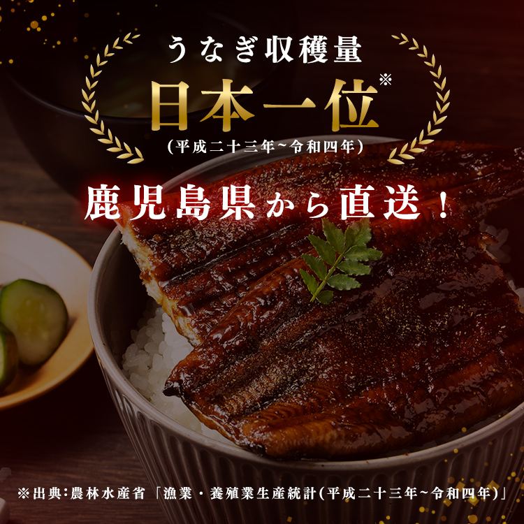鹿児島県大隅産うなぎ蒲焼2尾320g（160g×2尾） たれ・山椒付【日時指定