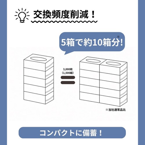 BOX�e�B�b�V�� 300�g(600��)�~�TP_4