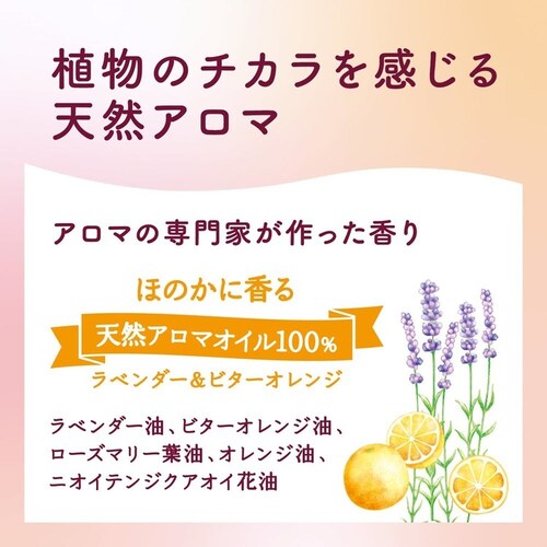 �A���E. �@�A�{�f�B�\�[�v�@480ml_5