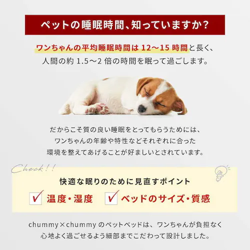 ごろ寝クッション T0185WPTBD-DGY ダークグレー_3