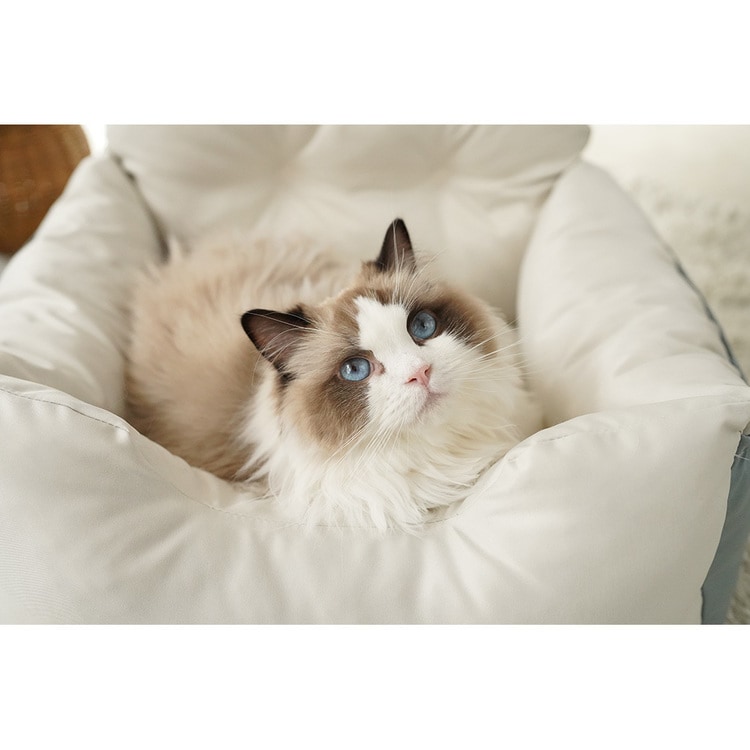 adorable pets ココツートン ドライブベッド DB-1MBG ベージュ×ブルー