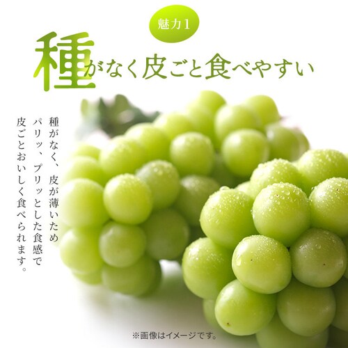 �����ƃV���C���}�X�J�b�g AF-M3S �y���Ԏw��s�z�y����s�z�y�����s�z_10
