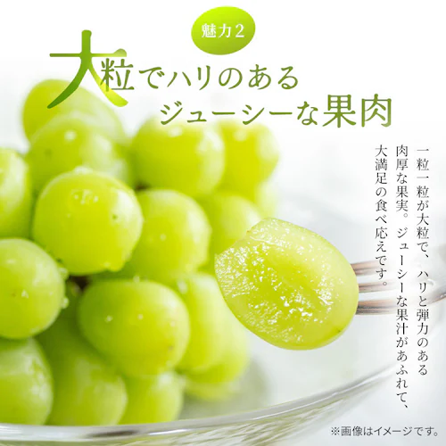 �����ƃV���C���}�X�J�b�g AF-M3S �y���Ԏw��s�z�y����s�z�y�����s�z_11