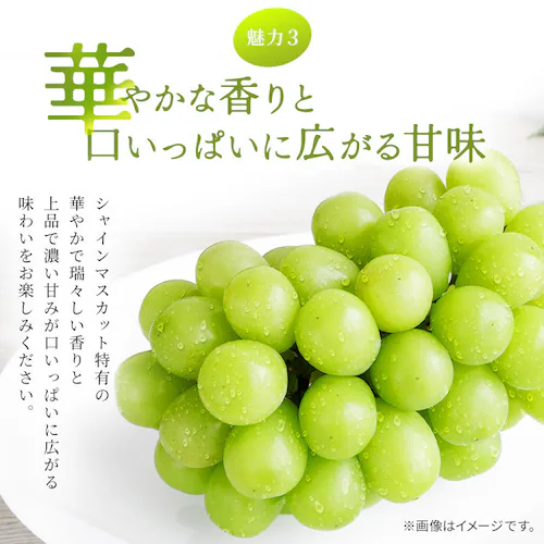 �����ƃV���C���}�X�J�b�g AF-M3S �y���Ԏw��s�z�y����s�z�y�����s�z_12