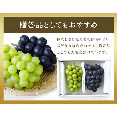 �Ԃǂ��l���� AF-SPS �y���Ԏw��s�z�y����s�z�y�����s�z_11