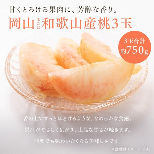 �k�C���������Ɠ� AF-HMM13 �y���Ԏw��s�z�y����s�z�y�����s�z_6