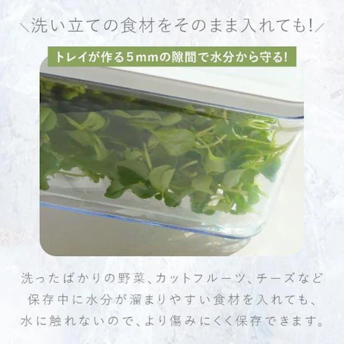 VAKUEN 真空保存容器 LONG 1.95L OT-600_5