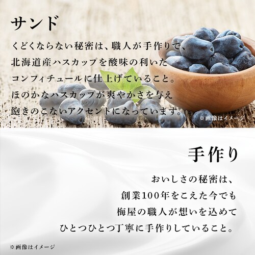 黒いチーズケーキとシューセットA 【時間指定不可】【代引不可】【同梱不可】_6