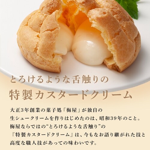 黒いチーズケーキとシューセットA 【時間指定不可】【代引不可】【同梱不可】_8