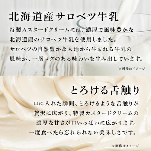 黒いチーズケーキとシューセットA 【時間指定不可】【代引不可】【同梱不可】_9