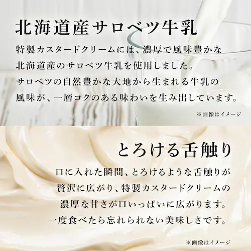 黒いチーズケーキとシューセットB 【時間指定不可】【代引不可】【同梱不可】_9