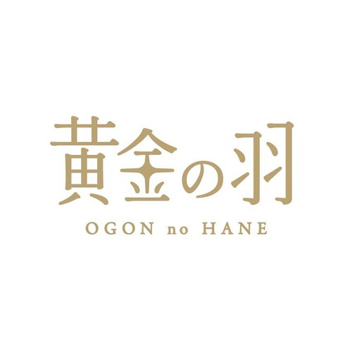 黄金の羽 フィナンシェ詰合せ 16個 OGA-04A 【時間指定不可】【代引不可】【同梱不可】_7