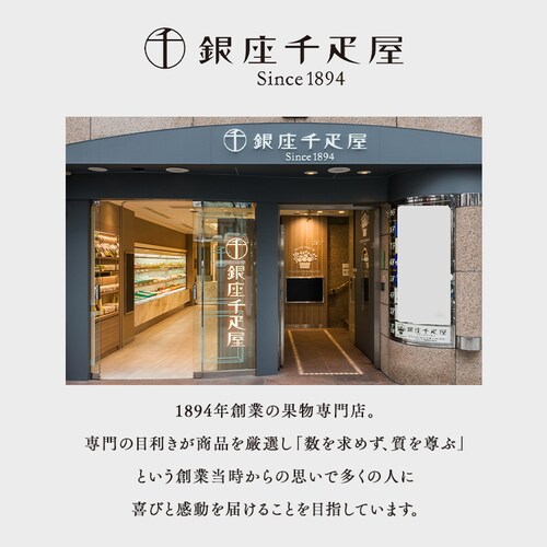 銀座千疋屋 銀座フルーツフィナンシェ 12個 PGS-167 【時間指定不可】【代引不可】【同梱不可】_7