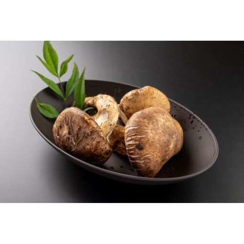 rebirth�i���o�[�X�j Asue �J���[�M �p�X�^�M 22.5cm �a�H�� �l�C�r�[_6