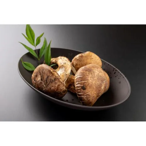 rebirth�i���o�[�X�j Asue �J���[�M �p�X�^�M 25.5cm �a�H�� �l�C�r�[_6