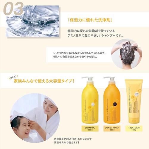 【3個セット】サロンリンク エクストラ トリートメント 金木犀の香り 300g_3