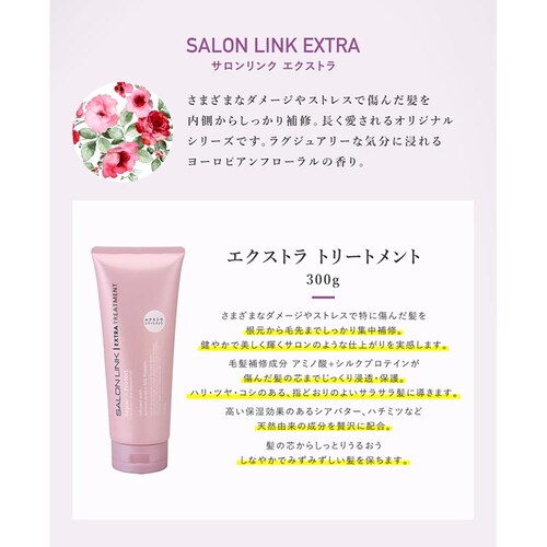 【3個セット】サロンリンク エクストラ トリートメント 大容量 300g_4