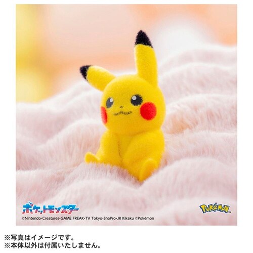 ポケットモンスター てのひらピカチュウ ぽけふわ_13