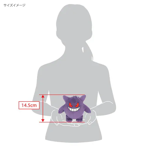 ぬいぐるみ ポケットモンスター ALL STAR COLLECTION PP01ピカチュウ(S)_5
