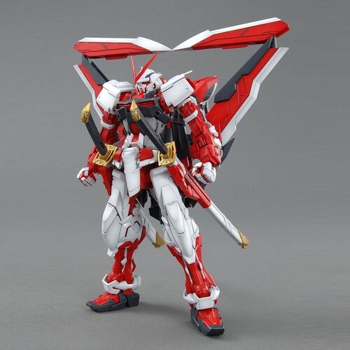 MG 1/100 �K���_���A�X�g���C���b�h�t���[����_2