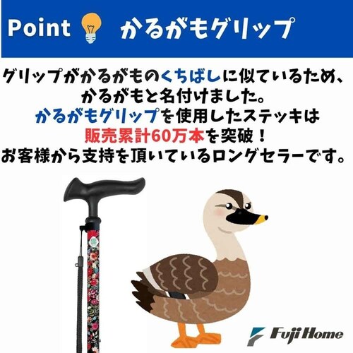 ���邪���t�@��II 4�_DX�L�kS WB5225 �u�[�P_5