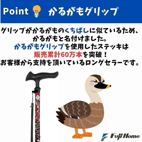 ���邪���t�@��II�܏� WB5132 ���ԃ��C��_9