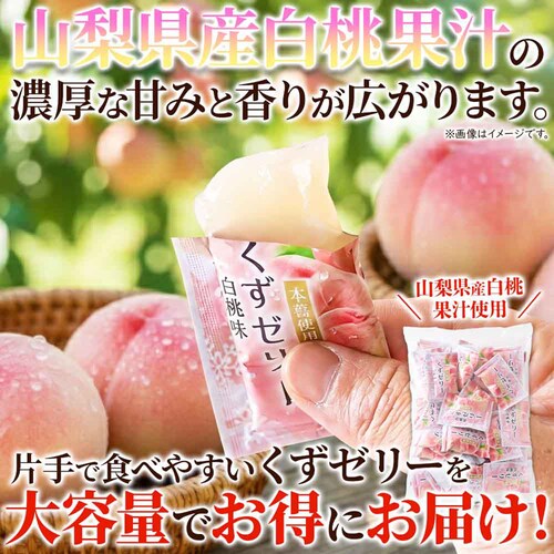 �V�R���� ���������[���[ 800g SM00011606_4