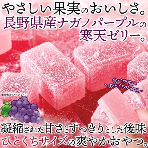 �V�R���� �i�K�m�p�[�v�����V�[���[ 500g SM00011599_4