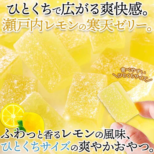 �V�R���� ���������V�[���[ 500g SM00011513_4