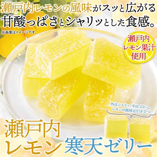 �V�R���� ���������V�[���[ 500g SM00011513_5