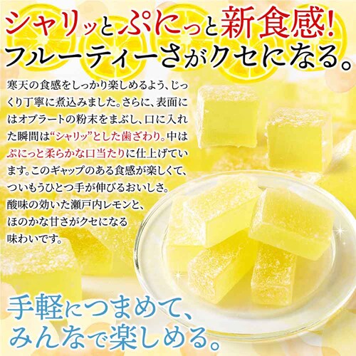 �V�R���� ���������V�[���[ 500g SM00011513_7