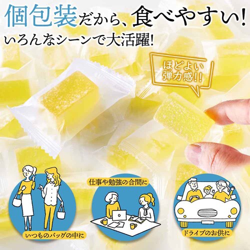 �V�R���� ���������V�[���[ 500g SM00011513_8