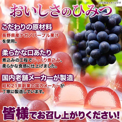 �y�����p�z�V�R���� �v�`�i�K�m�p�[�v���[���[ 50�� SM00011510_7