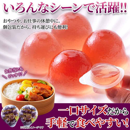 �y�����p�z�V�R���� �v�`�i�K�m�p�[�v���[���[ 50�� SM00011510_8