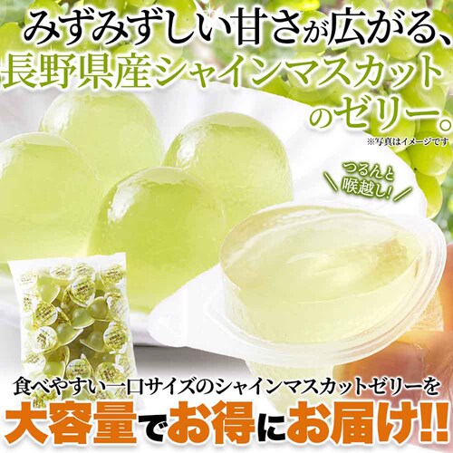 �y�����p�z�V�R���� �v�`�V���C���}�X�J�b�g�[���[ 50�� SM00011509_4