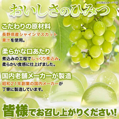 �y�����p�z�V�R���� �v�`�V���C���}�X�J�b�g�[���[ 50�� SM00011509_7