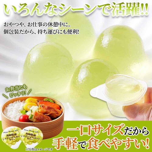 �y�����p�z�V�R���� �v�`�V���C���}�X�J�b�g�[���[ 50�� SM00011509_8