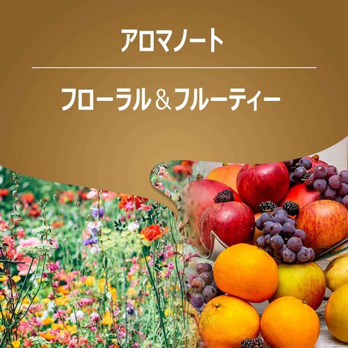 LAVAZZA �N�I���^�E�I�� 2507304_3
