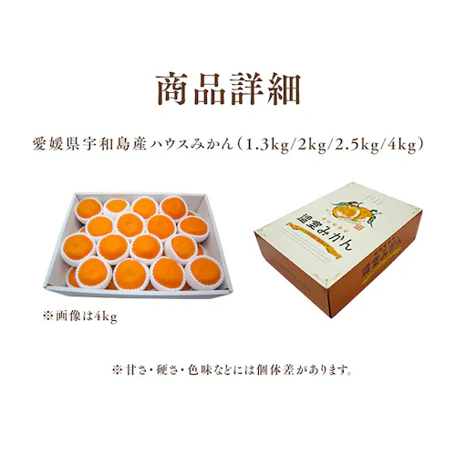 宇和島青果市場 宇和島ハウスみかん 1.3kg _10