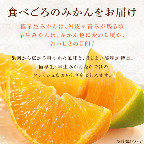 宇和島青果市場 宇和島極早生みかん 上品 甘み 産地直送 3kg _7