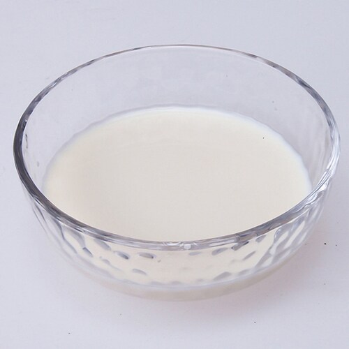 【10本セット】ペットの牛乳成犬用 1000ml_2