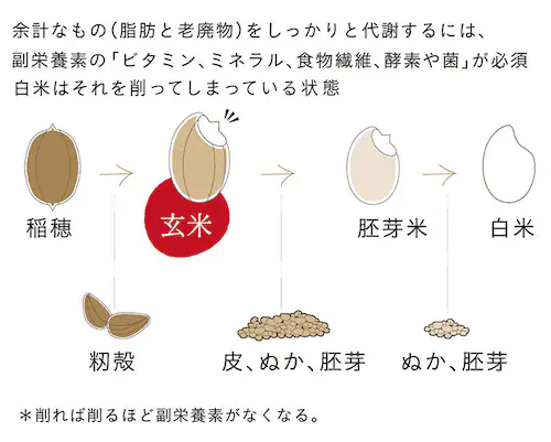 【6食】 yuwaeru 寝かせ玄米ごはん160g もち麦ブレンド NGC-160 _3