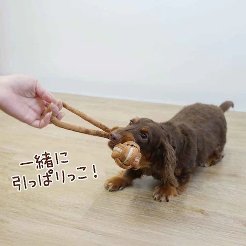牛革麻ロープトイ ボール_4