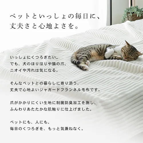 制菌防臭 ジャガードフランネル両面毛布 S シルバーグレー※【予約】9月下旬ごろ発送予定_2