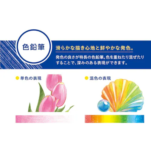 アートライン アートライン色鉛筆 24色セット KCP-24C/H_1