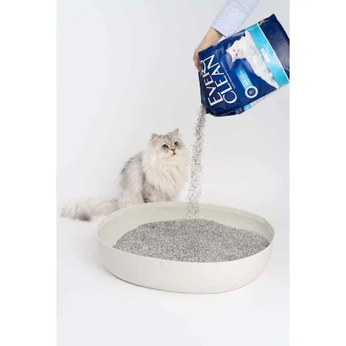 �G�o�[�N���[�� �G�N�X�g���t���b�V�� 4.2kg �F���^�C�v_3