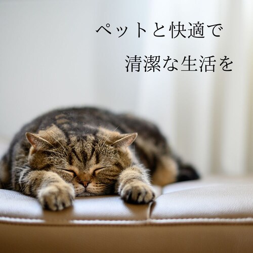 ジョイペット JOYPET 天然成分消臭剤 ネコのフン・オシッコ臭専用 詰替ジャンボパック 450mL_5