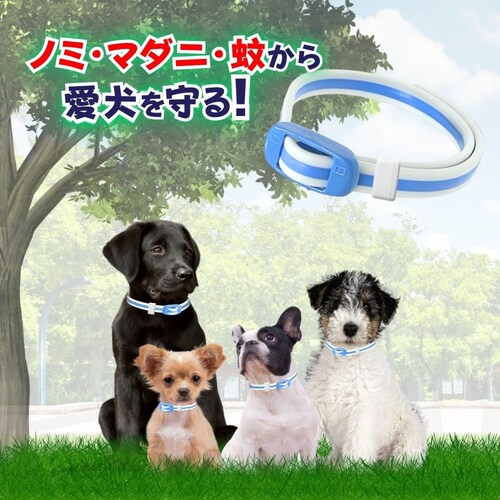 アース・ペット 薬用アースノミマダニとり&蚊よけ首輪 子犬用_1